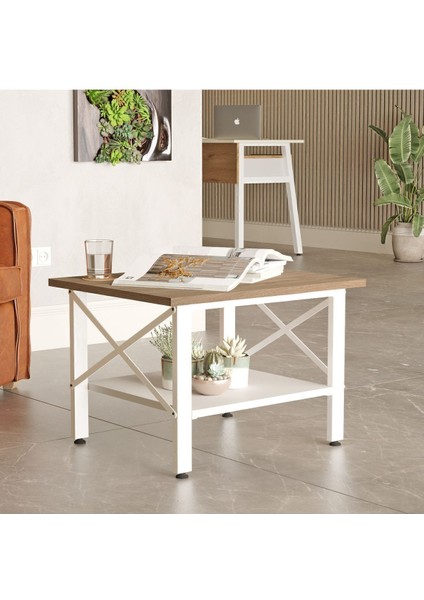 Molena Orta Sehpa Ofis Sehpa Beyaz Metal Ayaklı Sepet-Beyaz Ma6-Sw fiyatları