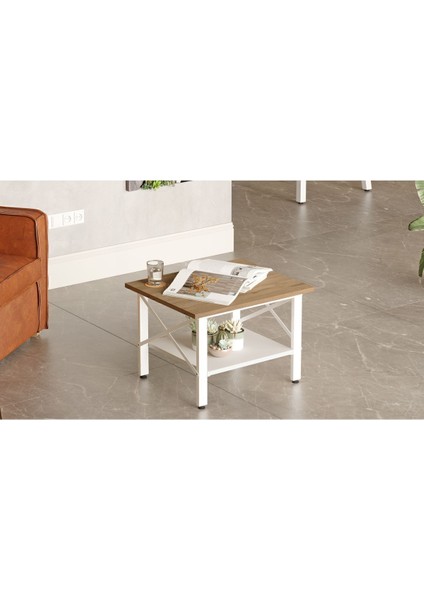 Molena Orta Sehpa Ofis Sehpa Beyaz Metal Ayaklı Sepet-Beyaz Ma6-Sw modelleri