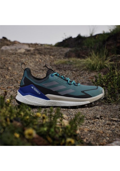 Terrex Free Hıker 2 Low Gtx fiyatları