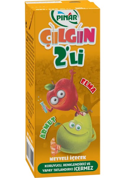 Çılgın Ikili Elma Armut 200 ml x 27 Adet
