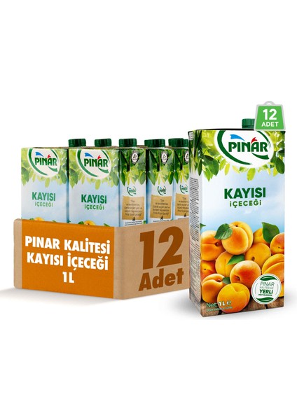 Meyve Nektarı Kayısı 1 L x 12 Adet