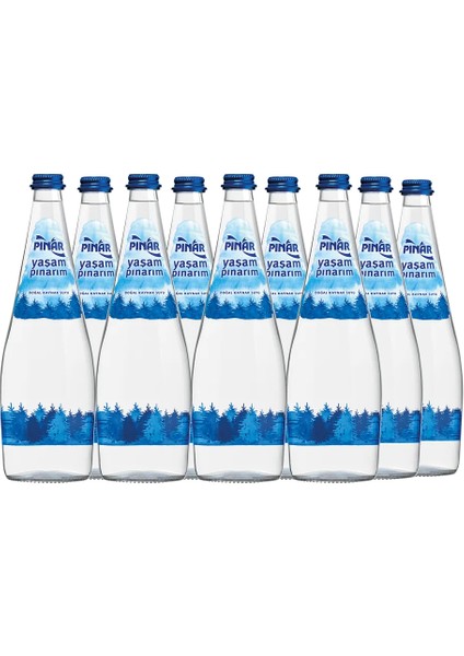 Yaşam Pınarım Doğal Kaynak Suyu Cam 33 cl
