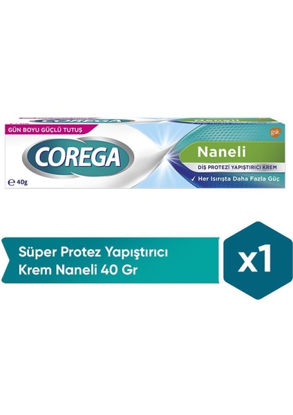 Naneli Takma Diş Yapıştırıcı Krem 40 g – Ferah Nane Aromalı, Güçlü ve Uzun Süreli Tutucu Etki fiyatları