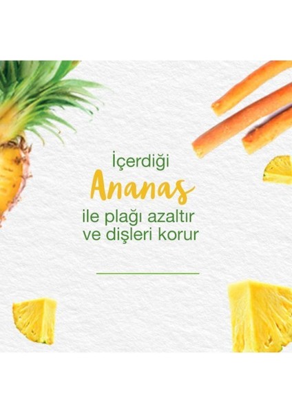 Bitkisel Diş Macunu 75 ml – Misvak ve Enzim Teknolojisi ile Doğal Beyazlık, Ferah Nane Aromalı