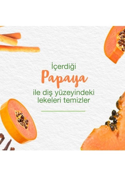 Bitkisel Diş Macunu 75 ml – Misvak ve Enzim Teknolojisi ile Doğal Beyazlık, Ferah Nane Aromalı