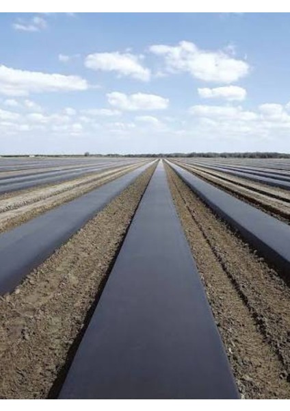 80 cm Enli Malç Naylonu, Çilek, Marul, Karpuz Üretimi Için Ot Engelleyici, Toprak Nem Koruyucu modelleri