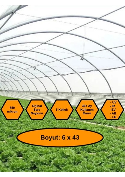 Sera Naylonu, 36 Aylık, 5 Katkılı, 350 Micron 6X43 Şeffaf Sera Örtüsü, Uv Dayanımlı, Ir, Ev, Ab, Ld