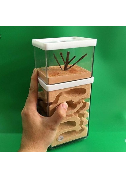 Atölye Ev Hayvanları Karınca Kraliçesi Kutusu (Yurt Dışından) indirimleri