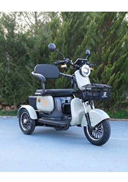 3 Tekerlekli Elektrikli Bisiklet 2025 Model fiyatları