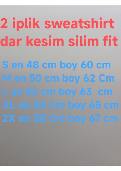 2 Iplik Sweatshirt fiyatları