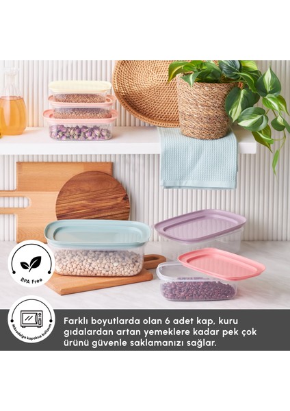 Vicks Light 6'lı Saklama Kabı modelleri