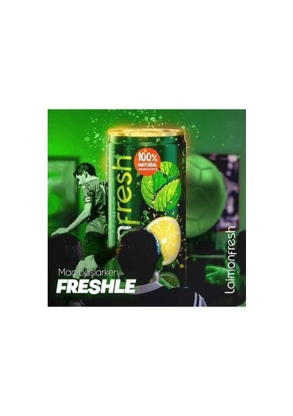 Laimonfresh Nane Limon 330X 24 modelleri