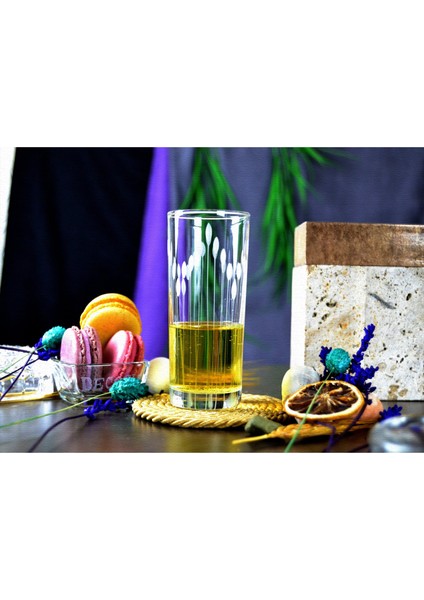 6'lı Rakı Bardağı 190cc Vega Desenli fiyatları