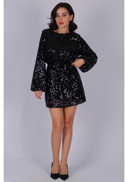 Kadın Uzun Kollu Payetli Elbise fiyatları