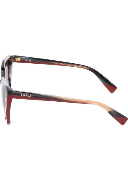 Güneş Gözlüğü SFU782 5505GZ modelleri