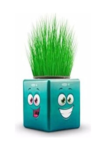 24'lü Karışık 3 Tarafı Emojili Figürlü Küp Çim Adamlar Okul ve Okul Öncesi Hediyelik Çimadam indirimleri