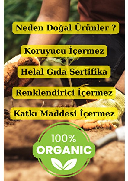 Taze Zencefil Acı Çehre Tohumu 250 gr Türkiye Menşeli fırsatları