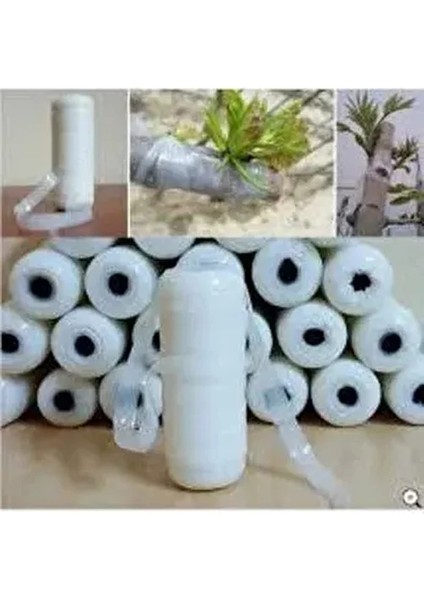 Aşı Band / Aşı Bağı Fidan / Aşı Bandı Süper Kalite !