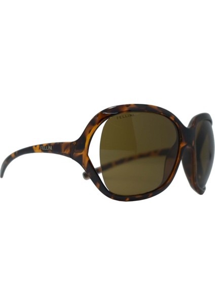 Güneş Gözlüğü FLL7364 C12 fiyatları