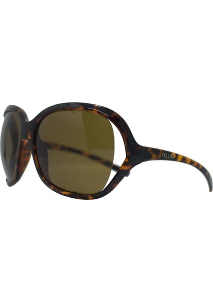 Güneş Gözlüğü FLL7364 C12 modelleri