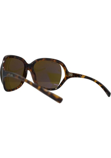 Güneş Gözlüğü FLL7364 C12 fırsatları