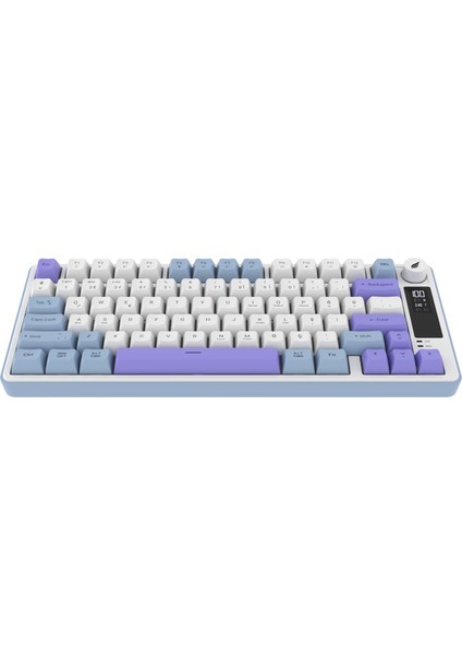 HK255 Membrane LCD Rgb Kablosuz/bluetooth Mavi Mor %75 Türkçe Gaming Klavye fiyatları