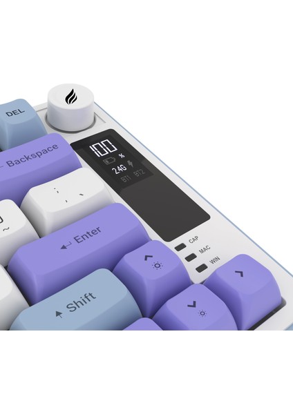 HK255 Membrane LCD Rgb Kablosuz/bluetooth Mavi Mor %75 Türkçe Gaming Klavye
