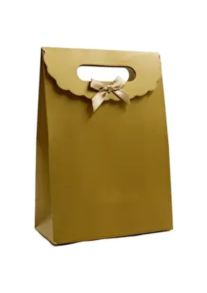 19X27 cm Küçük Boy Renkli Zarf Model Cırtlı Karton Çanta 1 Adet (Gold)