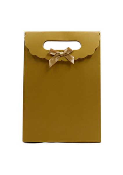 19X27 cm Küçük Boy Renkli Zarf Model Cırtlı Karton Çanta 1 Adet (Gold) fiyatları