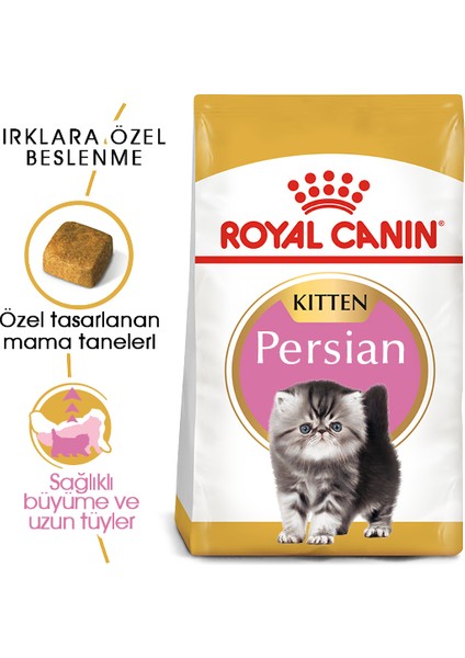İran Kedisi için Yavru Kedi Maması 2kg