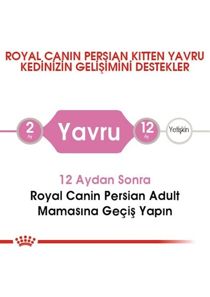 İran Kedisi için Yavru Kedi Maması 2kg indirimleri