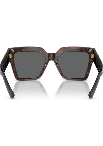 Güneş Gözlüğü VE4458 54 542987 modelleri