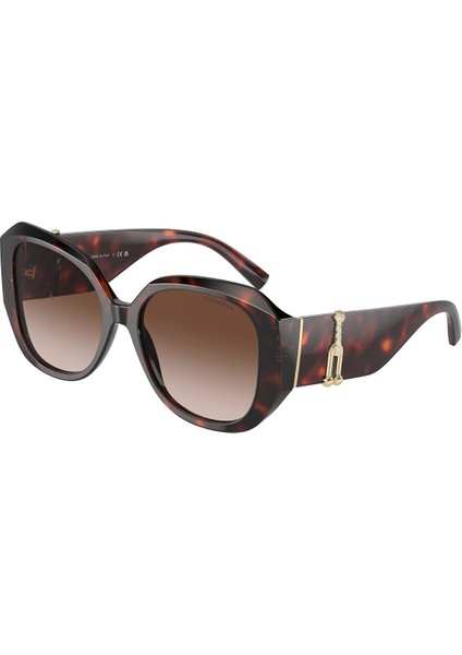 Tiffany Güneş Gözlüğü TF4207B 55 80023B