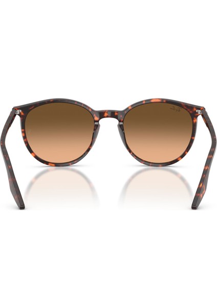 Güneş Gözlüğü RB2204 51 14293B fiyatları