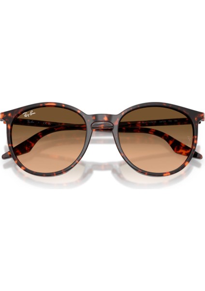 Güneş Gözlüğü RB2204 51 14293B modelleri