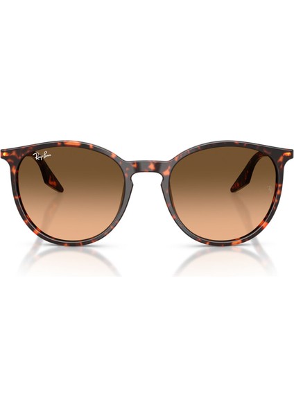 Güneş Gözlüğü RB2204 51 14293B fırsatları