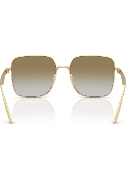 Güneş Gözlüğü DG2310 57 12246E fiyatları