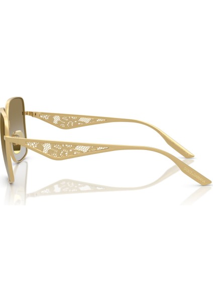 Güneş Gözlüğü DG2310 57 12246E indirimleri