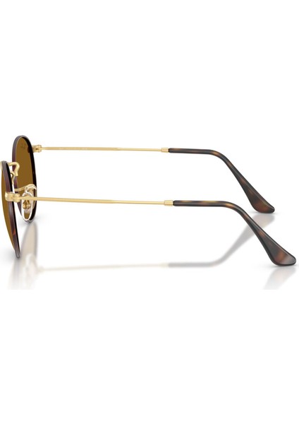 Güneş Gözlüğü RB3447 50 927533