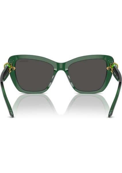 Güneş Gözlüğü SK6018 52 104587 modelleri