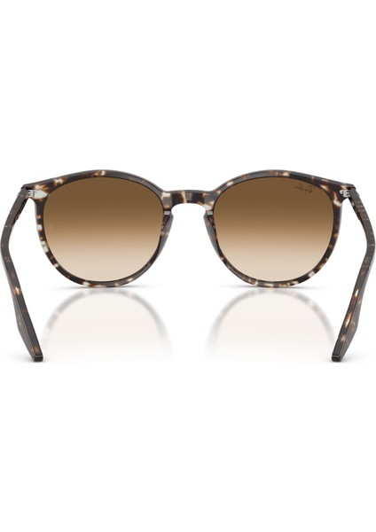 Güneş Gözlüğü RB2204 51 143151 modelleri