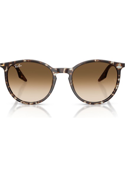 Güneş Gözlüğü RB2204 51 143151 indirimleri