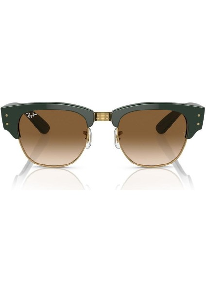 Güneş Gözlüğü RB0316S 53 136851 fiyatları