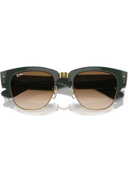 Güneş Gözlüğü RB0316S 53 136851 modelleri