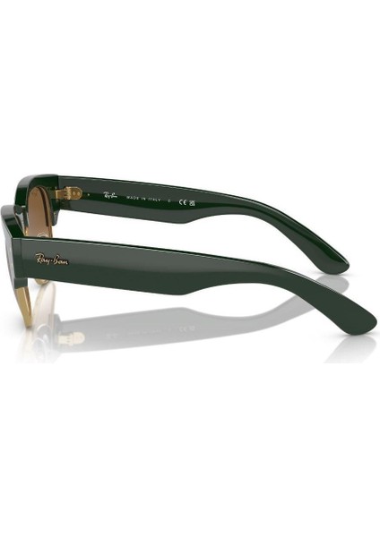 Güneş Gözlüğü RB0316S 53 136851 fırsatları