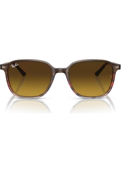 2193-53 138085 Güneş Gözlüğü fiyatları