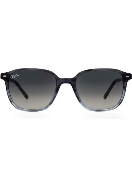 RAYBAN RB 2193 Leonard 1381/71 53 fiyatları