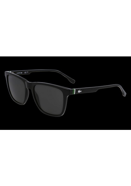 Güneş Gözlüğü L6041S-001