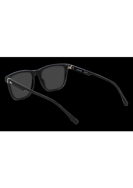 Güneş Gözlüğü L6041S-001 modelleri