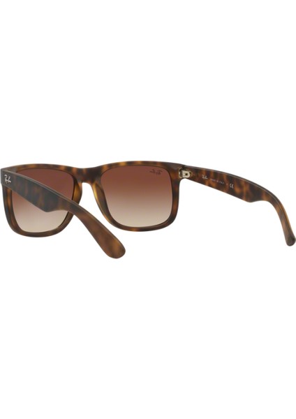 Güneş Gözlüğü RB4165 55 710/13 fırsatları